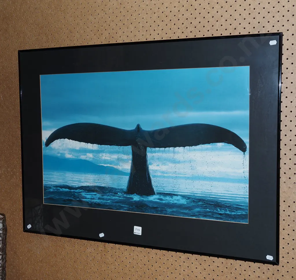 framed poster print - whale tail Image 1++