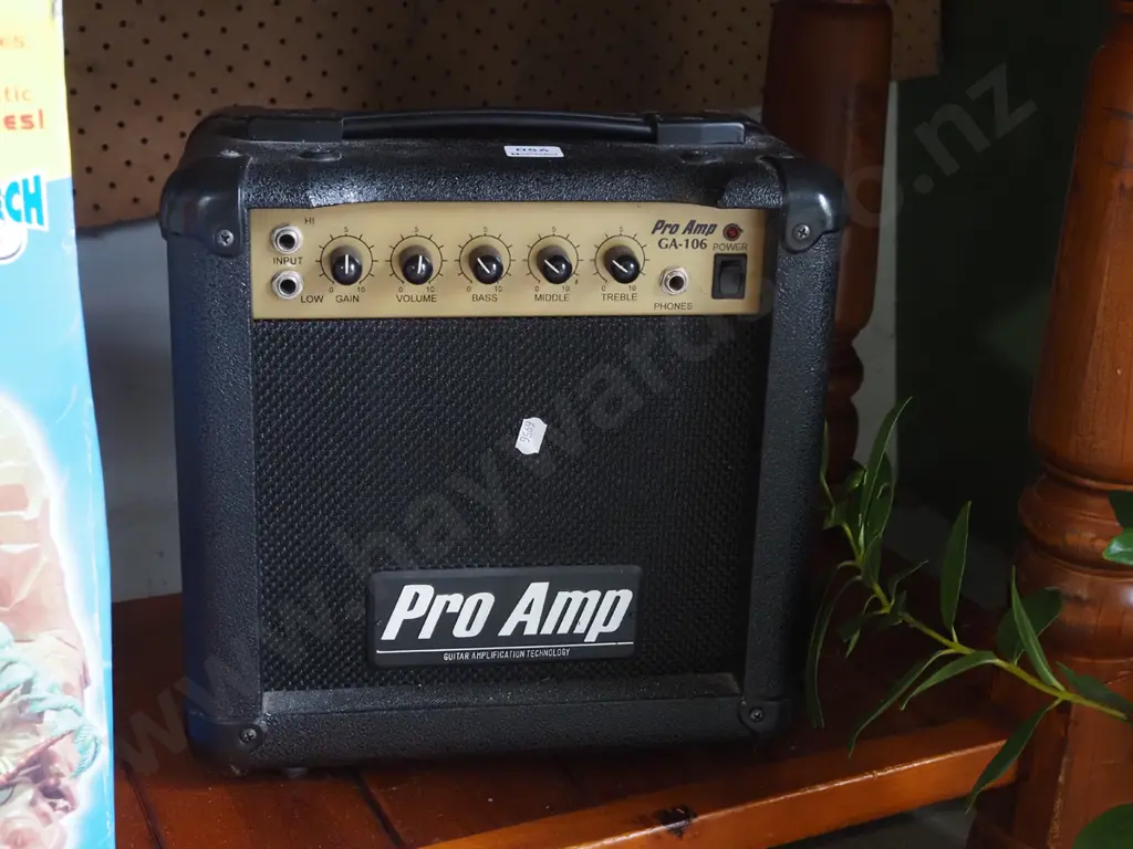 "Pro Amp" guitar practice amp Image 1++