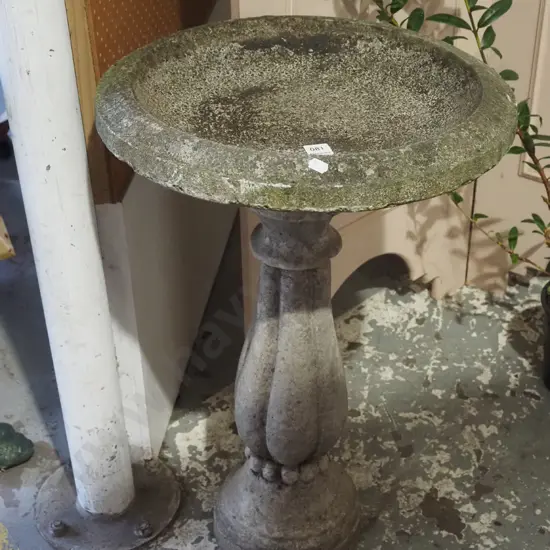 concrete garden bird bath H650