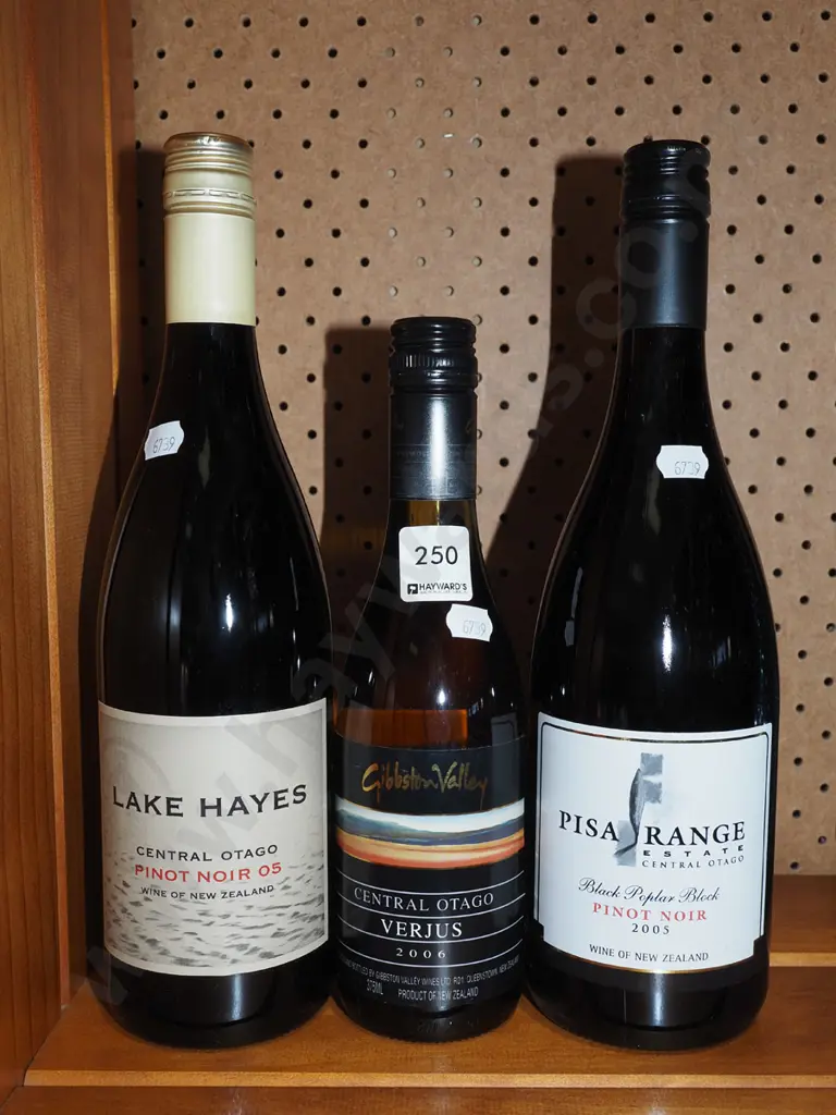  Lake Hayes and Pisa Range pinot noir 2005, Gibston Valley verjus  2006 Image 1++