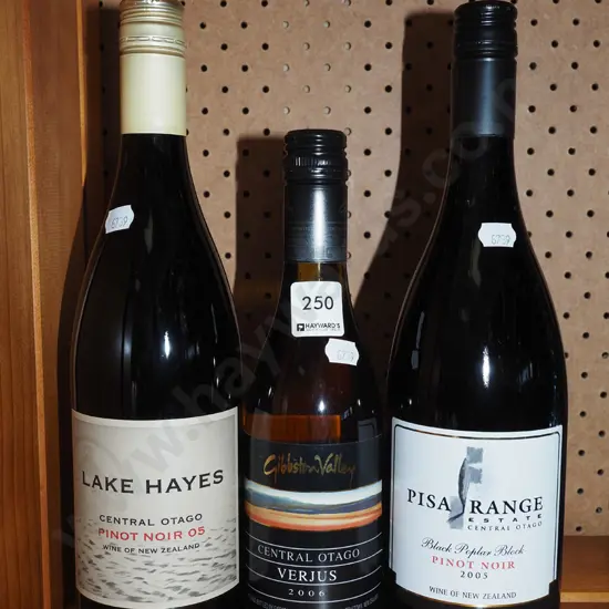  Lake Hayes and Pisa Range pinot noir 2005, Gibston Valley verjus  2006