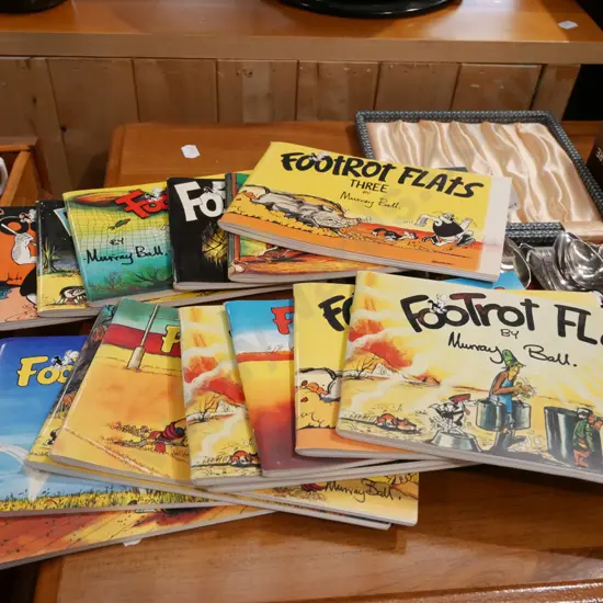 half size Footrot Flats books