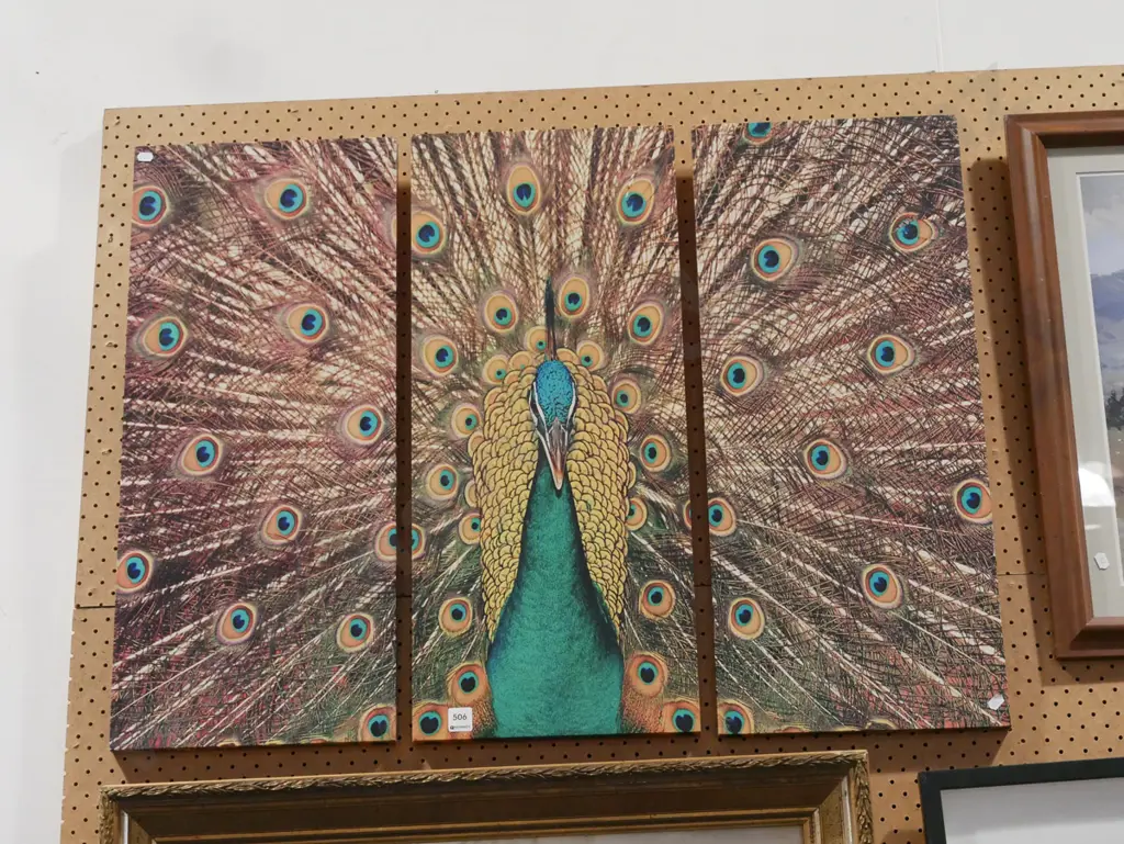 peacock triptych print on boxed canvas Image 1++