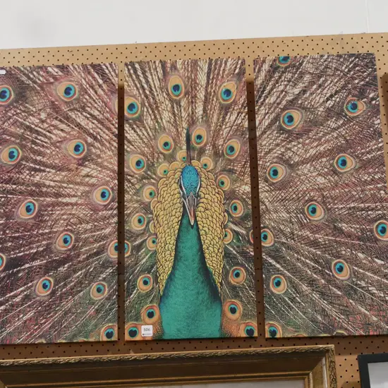 peacock triptych print on boxed canvas