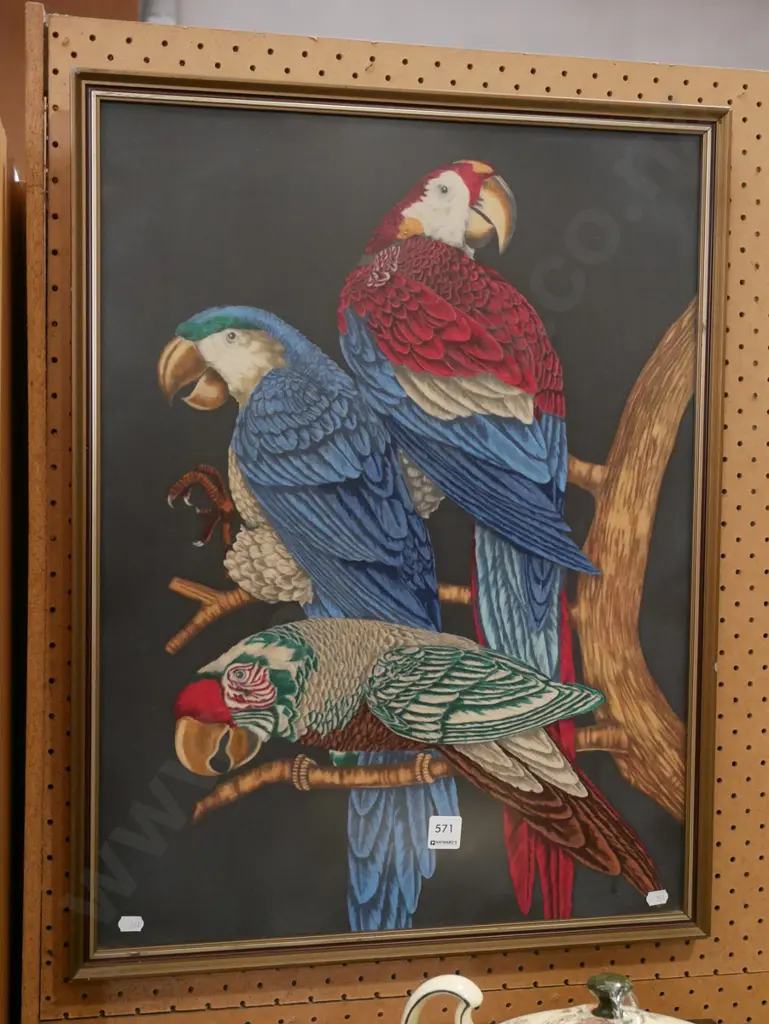 framed parrot print Image 1++