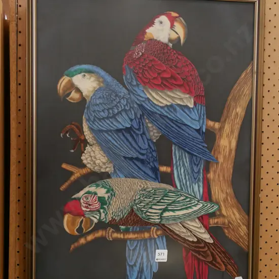 framed parrot print