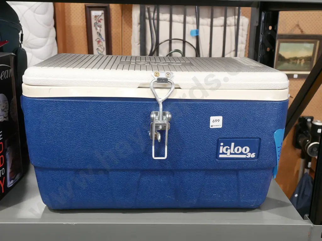 Igloo 36 chilly bin  Image 1++