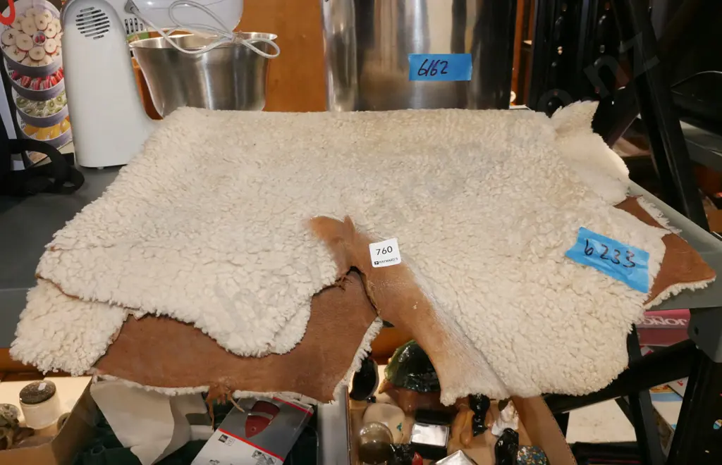 sheepskin Image 1++