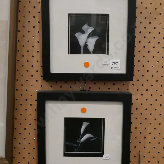 2x framed lily prints - orange dots