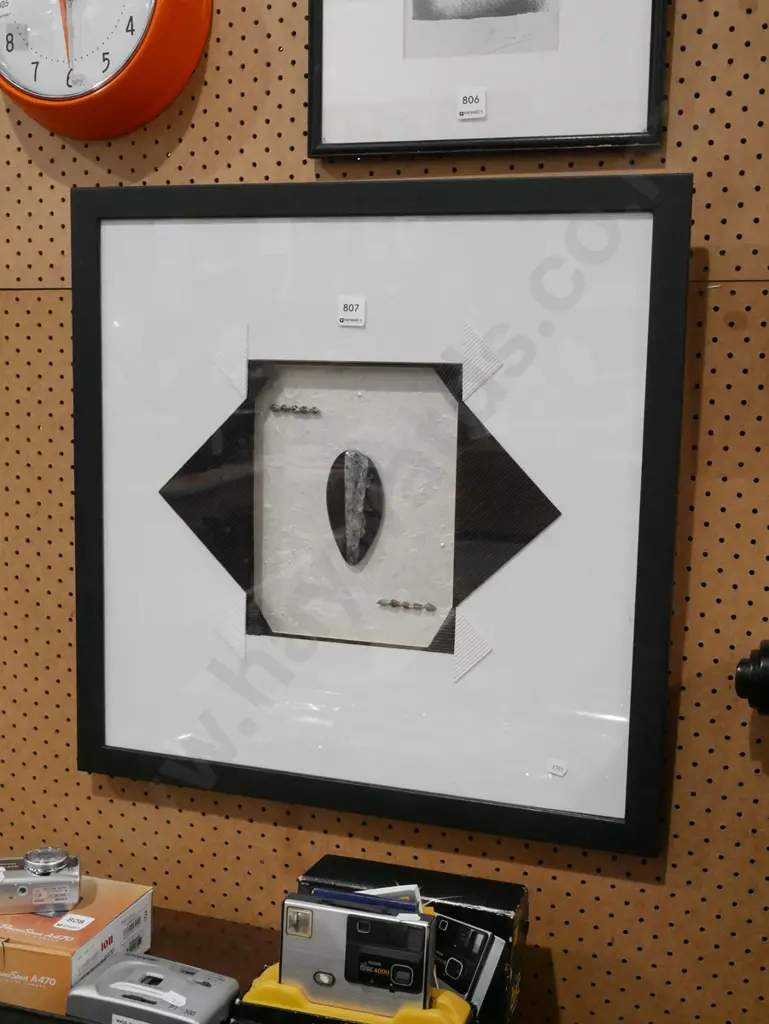 framed seashells, polished fossil Image 1++