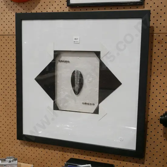 framed seashells, polished fossil