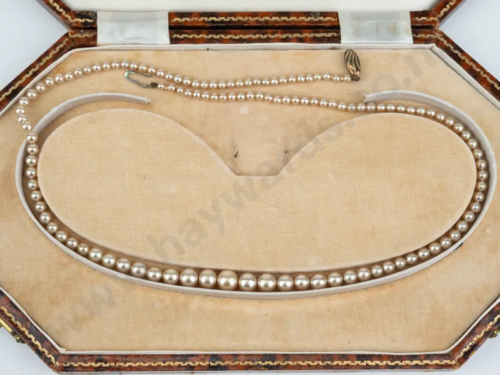 cased Lotus pearl necklace Image 1++