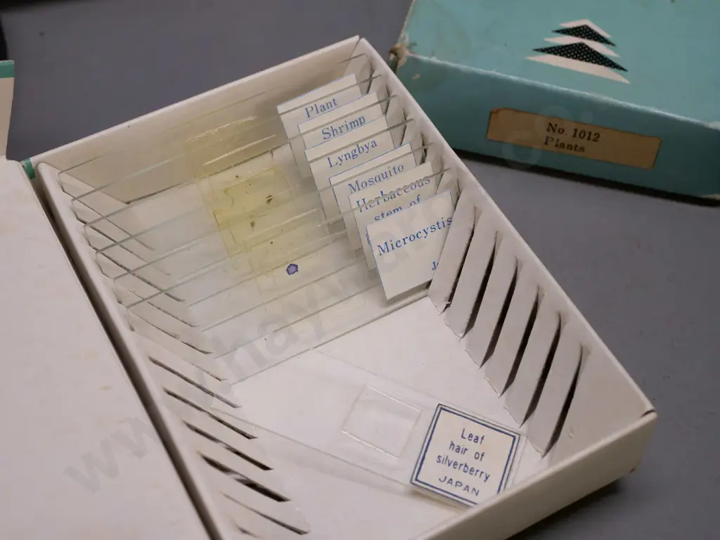 vintage cased hobby microscope with boxed specimen slides, 2 eyepieces - microscope marked C.O.C. H-220 Image 1++