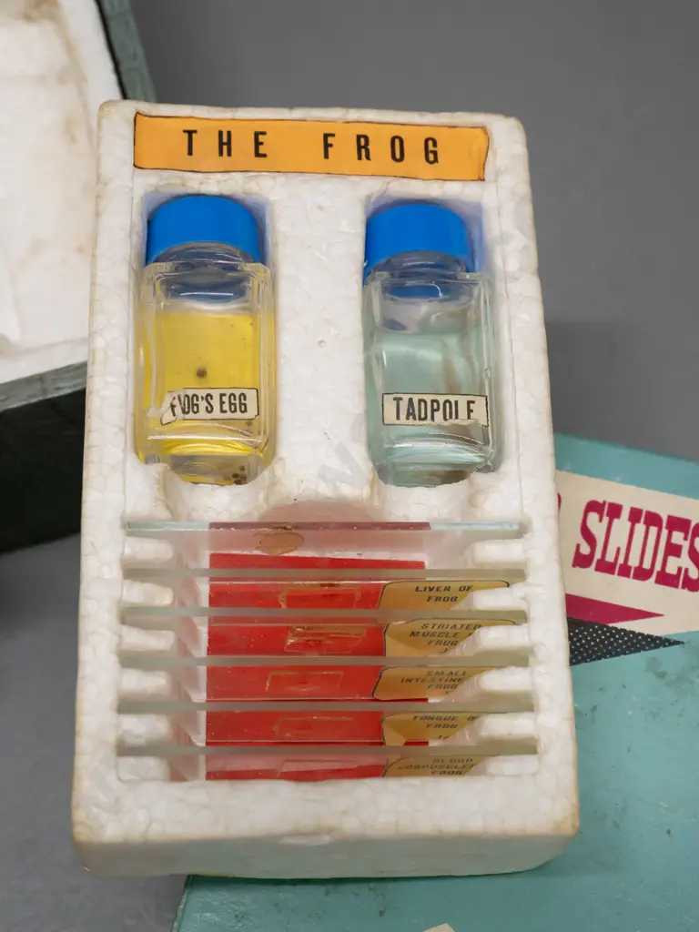 vintage cased hobby microscope with boxed specimen slides, 2 eyepieces - microscope marked C.O.C. H-220 Image 1++