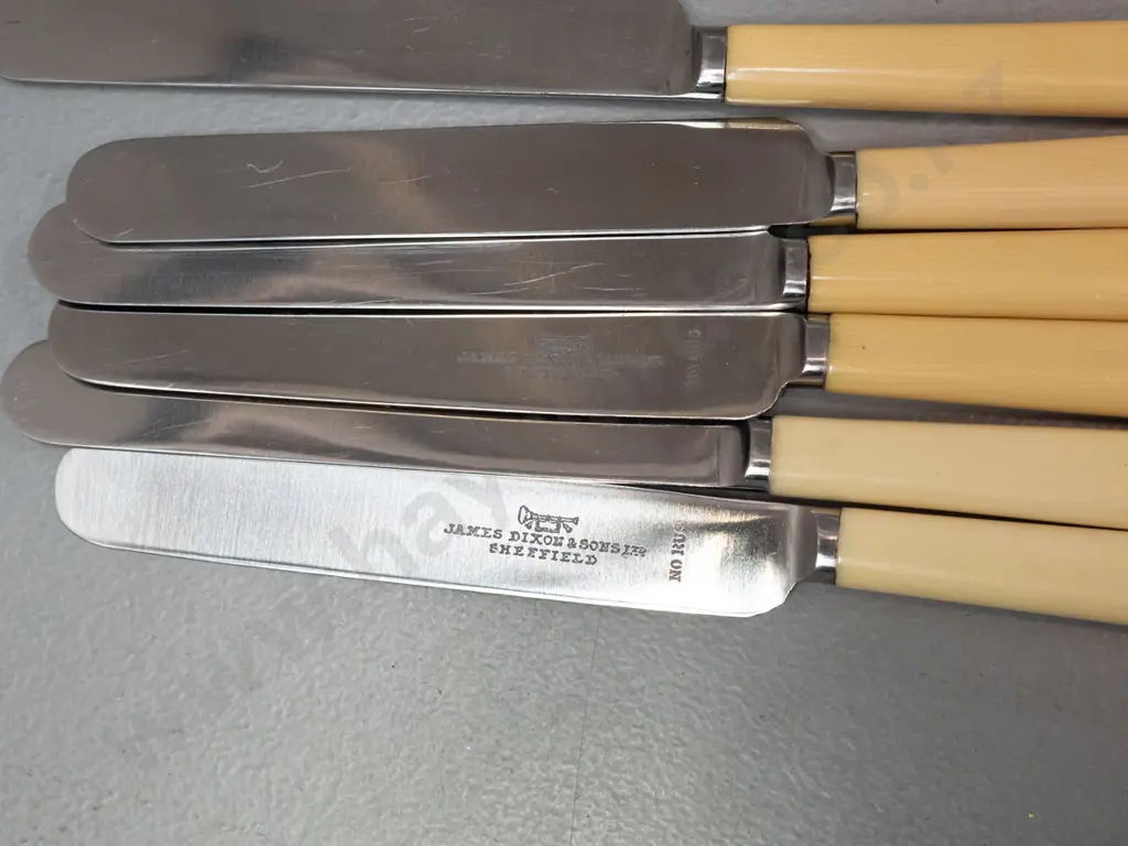 assorted silver plated bone-handled cutlery - 6 large knives, 10 smaller, set of 6 fish forks & knifes 2 cheese knives & Image 1++