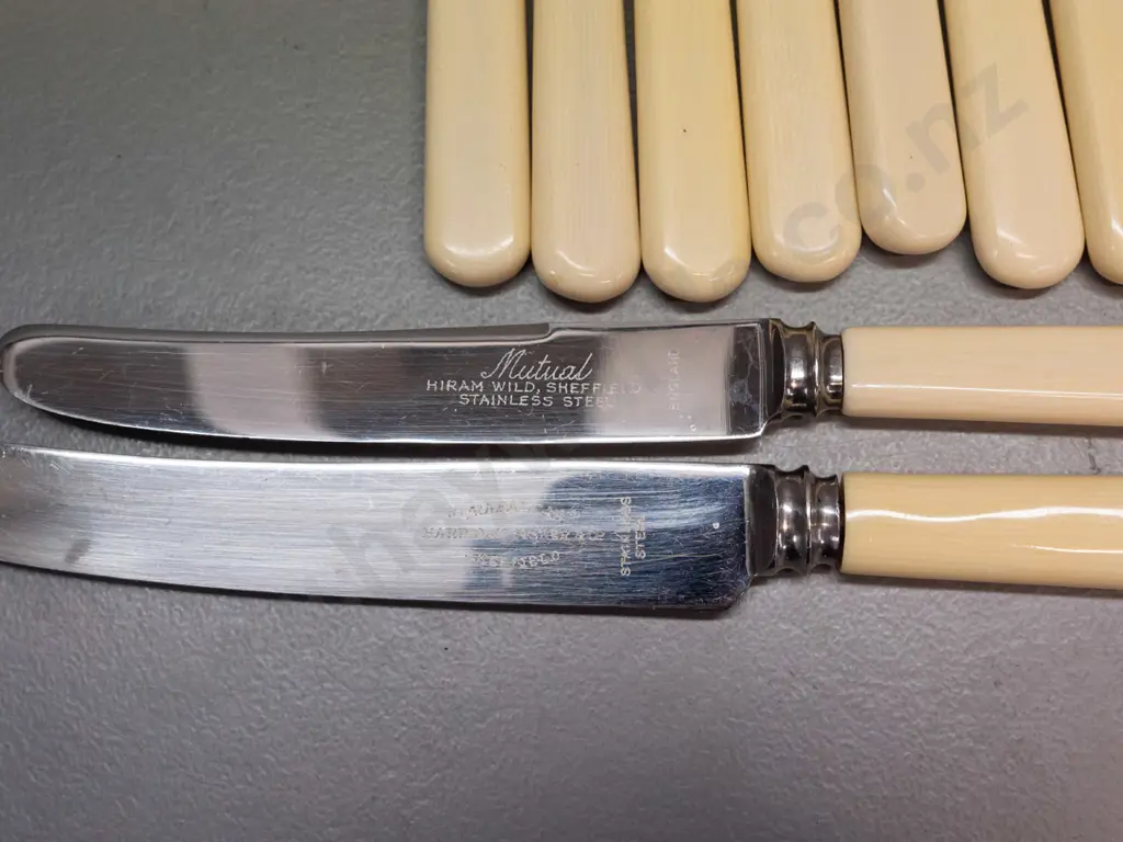 assorted silver plated bone-handled cutlery - 6 large knives, 10 smaller, set of 6 fish forks & knifes 2 cheese knives & Image 1++