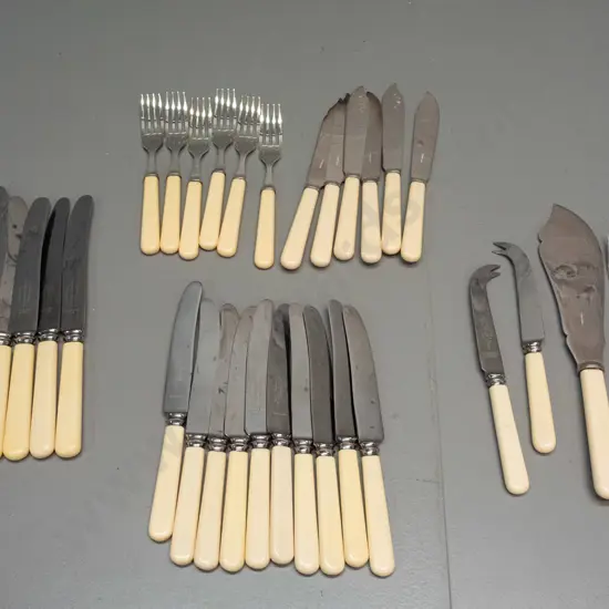 assorted silver plated bone-handled cutlery - 6 large knives, 10 smaller, set of 6 fish forks & knifes 2 cheese knives &