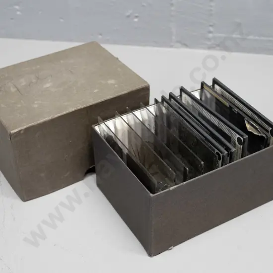 10 vintage glass lantern slides of biology subjects, 5 with "Cell Biology - Harvard University" labels, others have lost