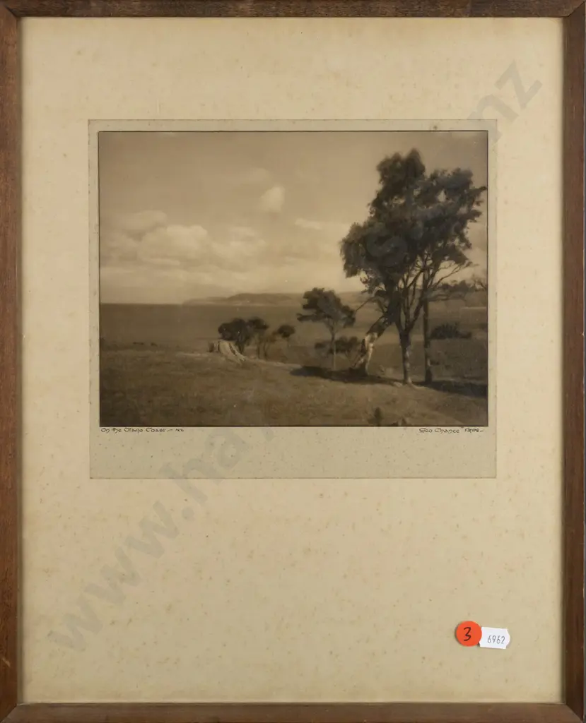 George Chance - framed vintage photograph "On The Otago Coast" H160 W215 (foxing) Image 1++