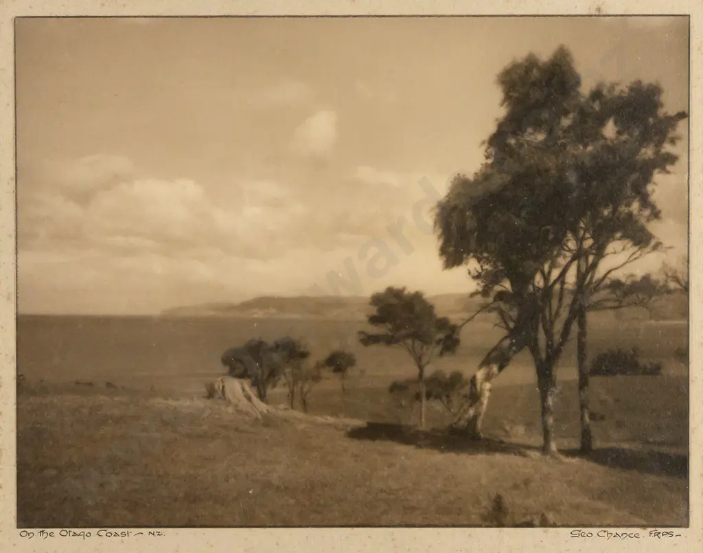 George Chance - framed vintage photograph "On The Otago Coast" H160 W215 (foxing) Image 1++