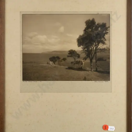 George Chance - framed vintage photograph "On The Otago Coast" H160 W215 (foxing)