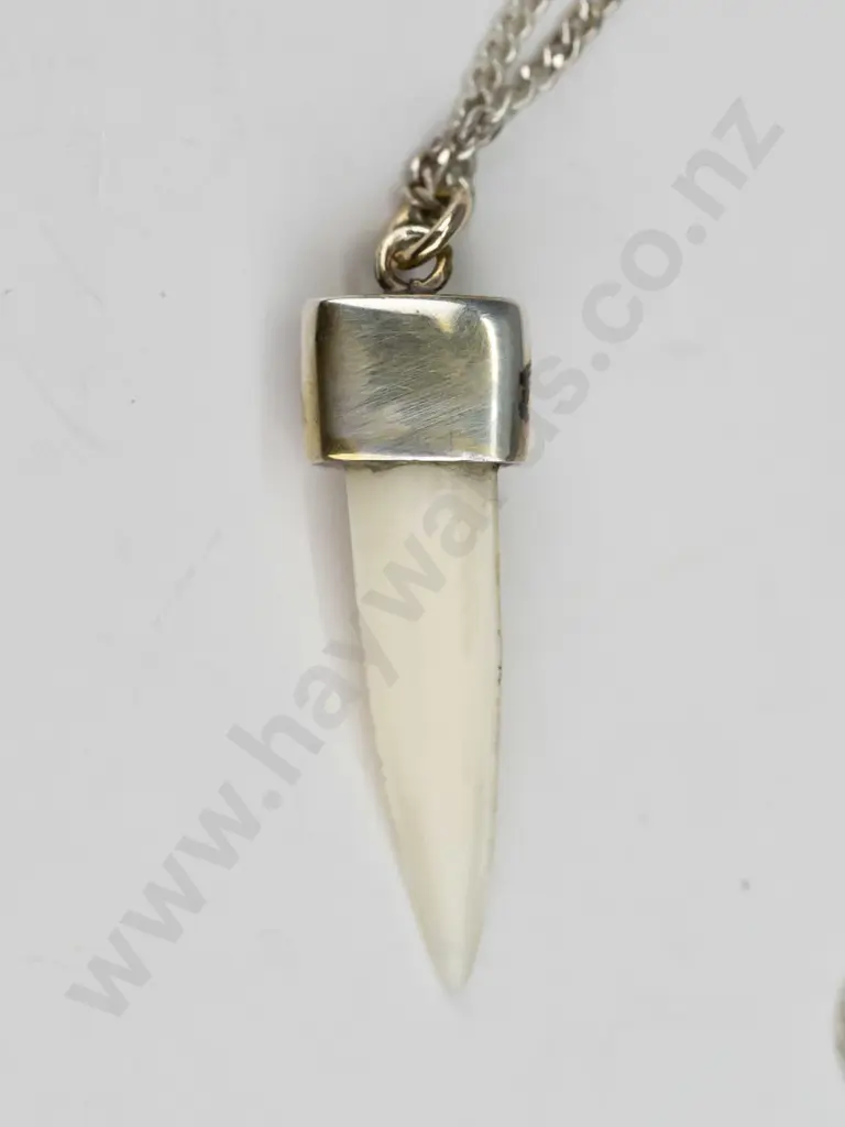 mako shark tooth capped necklace sterling silver chain Image 1++