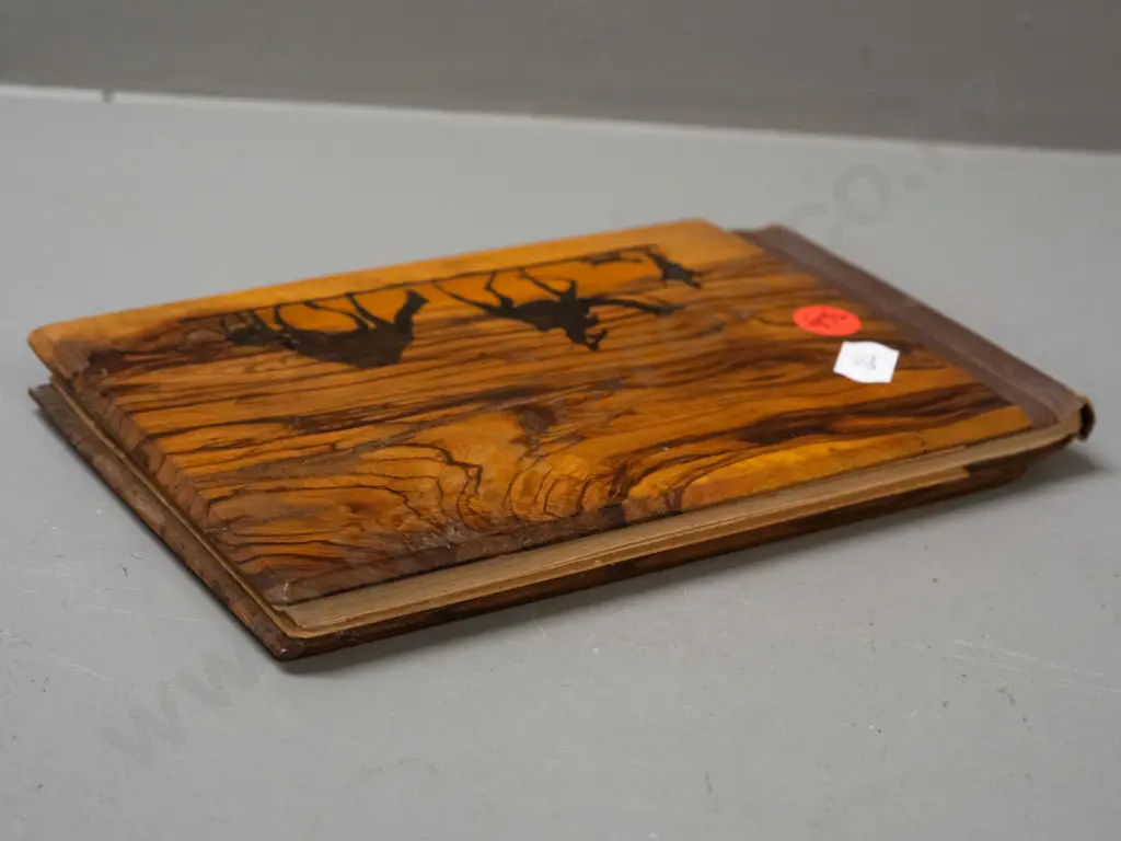 souvenir of Jerusalem book with olive wood covers, pressed flowers and views of the holy land H-115 W-185 Image 1++