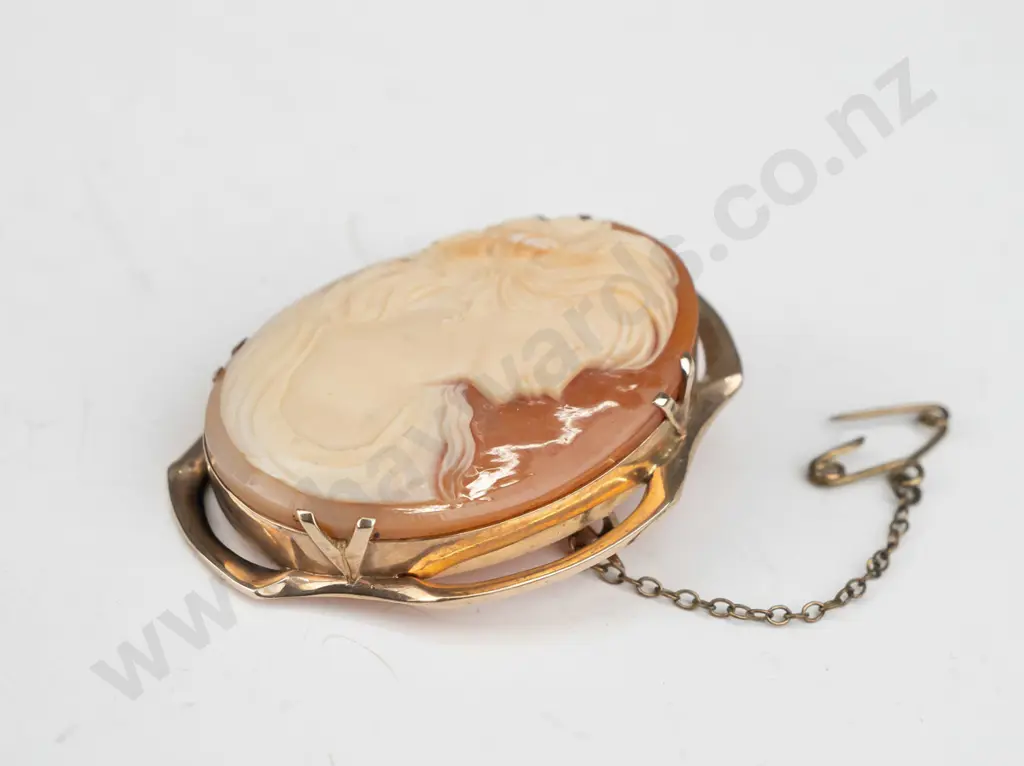 9ct cameo brooch with 4 double claws 45mm x 35mm no mark Image 1++