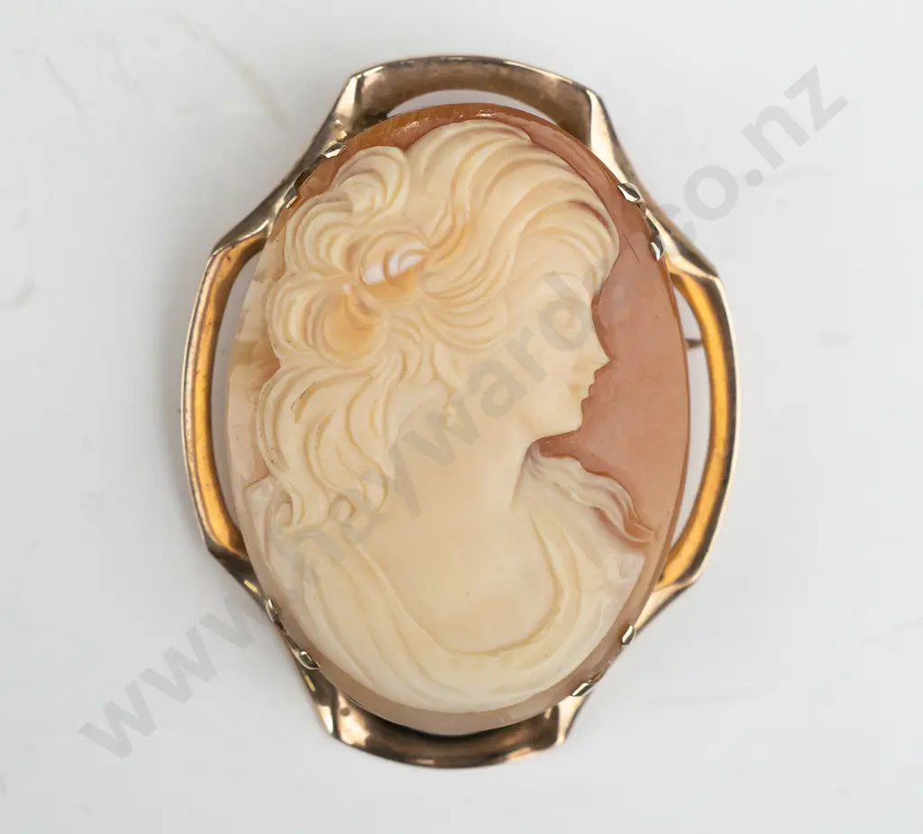 9ct cameo brooch with 4 double claws 45mm x 35mm no mark Image 1++
