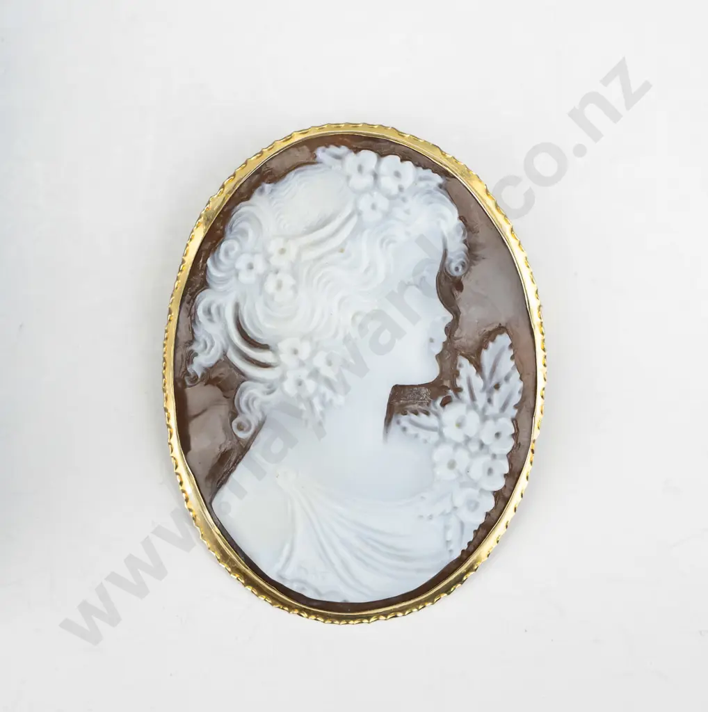 brown cameo in box 18ct  gold frame 50mm x 40mm Image 1++