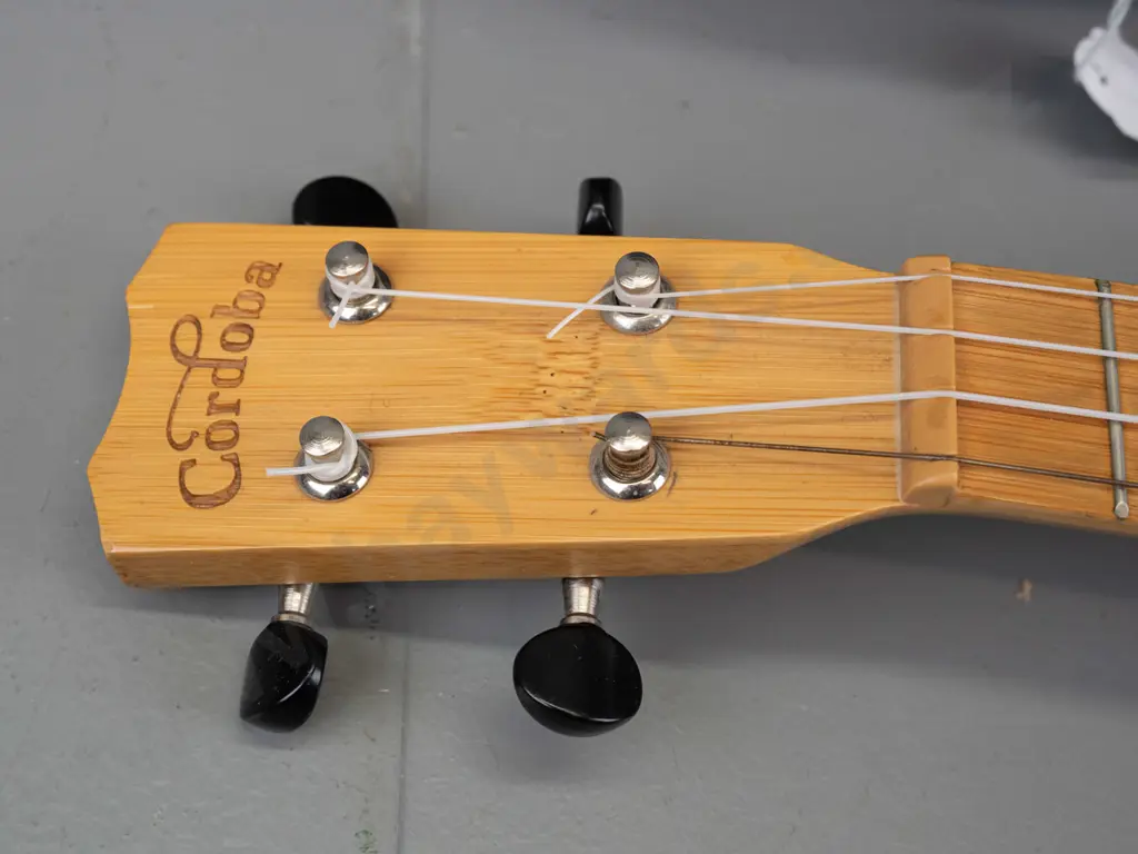 Cordoba 25CB all-bamboo concert size ukulele with fitted soft case and some spare strings. L-610 W-210. Image 1++