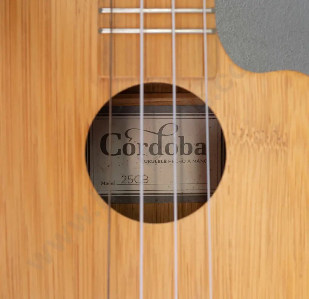 Cordoba 25CB all-bamboo concert size ukulele with fitted soft case and some spare strings. L-610 W-210. Image 1++