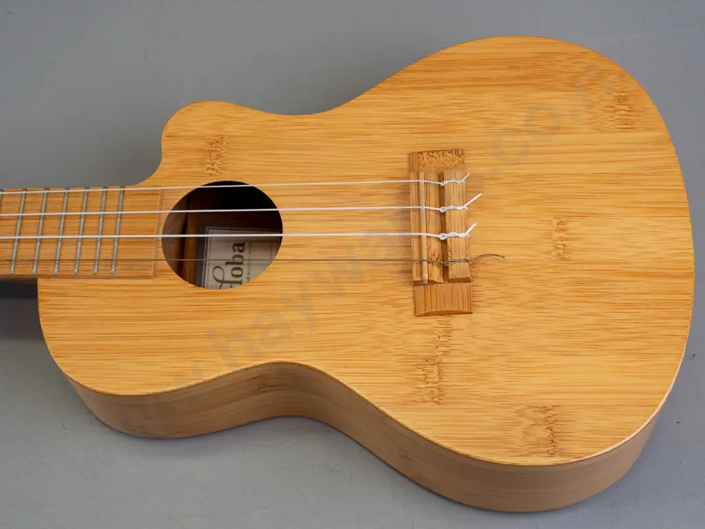 Cordoba 25CB all-bamboo concert size ukulele with fitted soft case and some spare strings. L-610 W-210. Image 1++