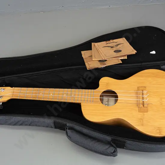 Cordoba 25CB all-bamboo concert size ukulele with fitted soft case and some spare strings. L-610 W-210.