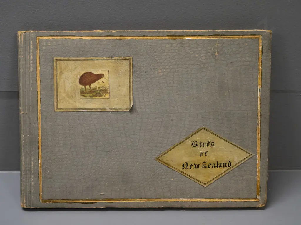 collector card album, partial contents - mostly Birds of New Zealand, matched duplicates to display fronts and some Image 1++
