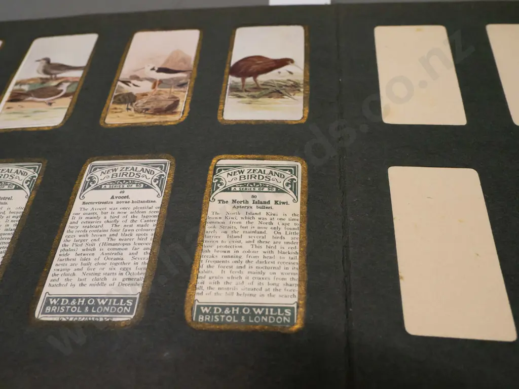 collector card album, partial contents - mostly Birds of New Zealand, matched duplicates to display fronts and some Image 1++