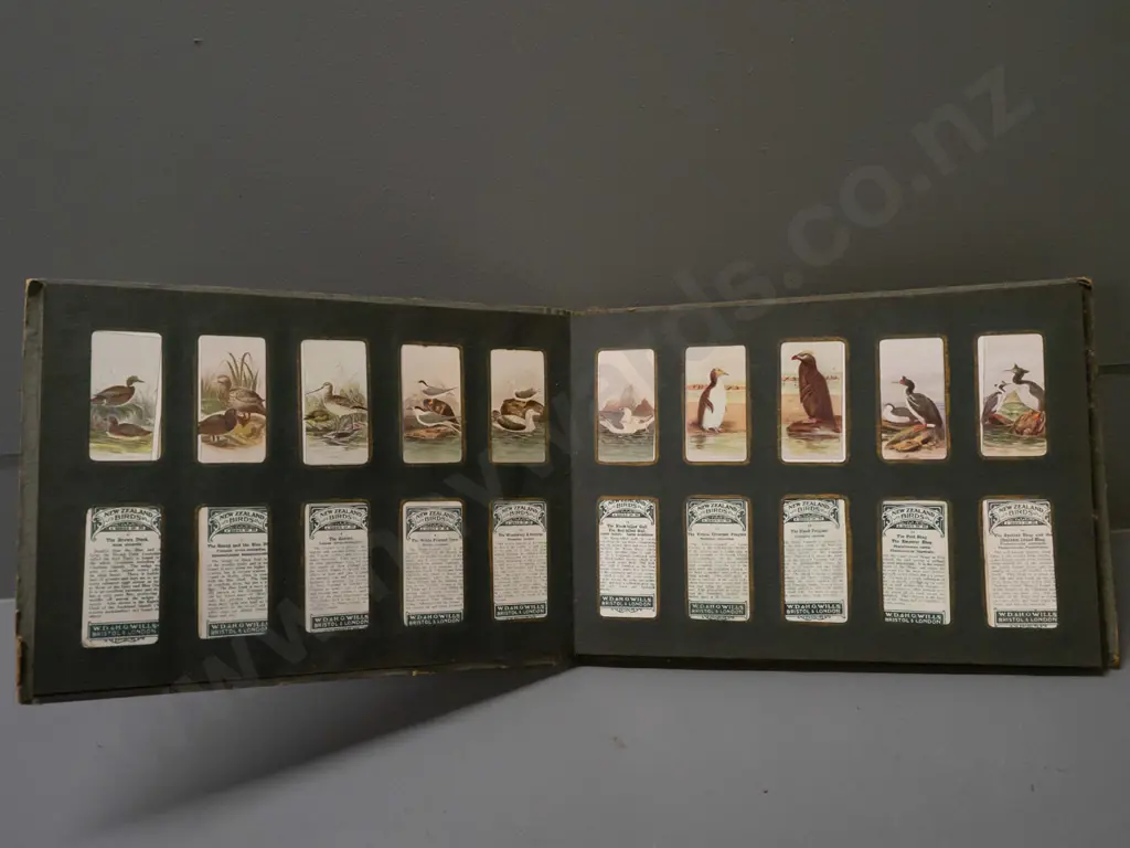 collector card album, partial contents - mostly Birds of New Zealand, matched duplicates to display fronts and some Image 1++