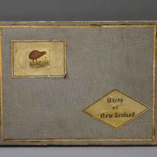 collector card album, partial contents - mostly Birds of New Zealand, matched duplicates to display fronts and some