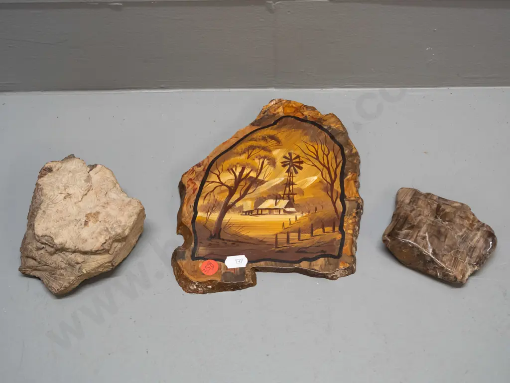 2 pieces of petrified wood, one with hand painted scene and faint labelling on back 200 x 160 & a shell fossil specimen Image 1++