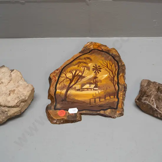 2 pieces of petrified wood, one with hand painted scene and faint labelling on back 200 x 160 & a shell fossil specimen