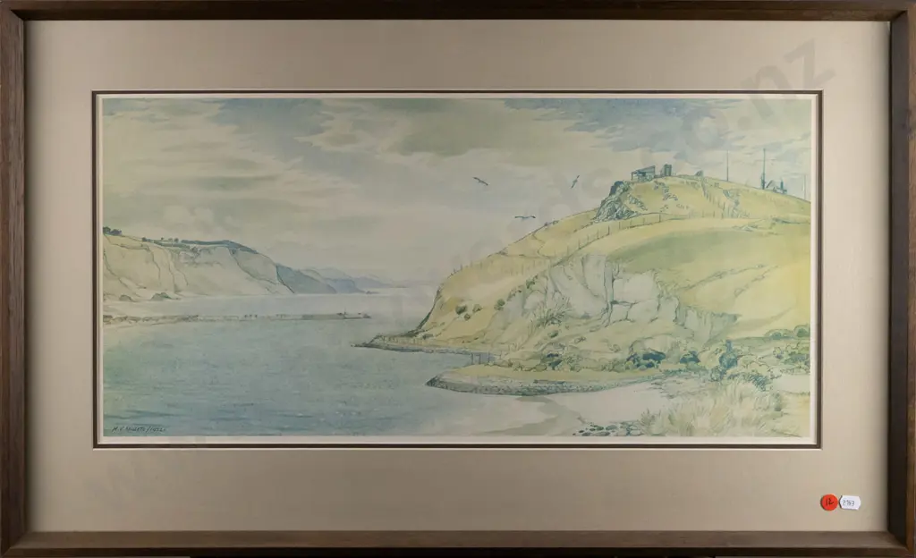 framed HV Miller print - Taiaroa Head H280 W600 Image 1++