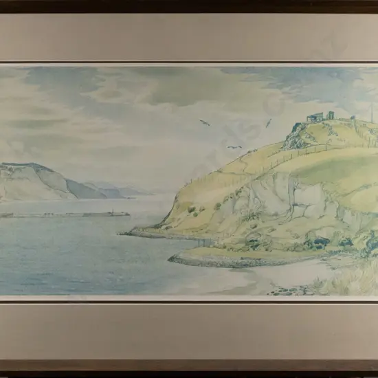 framed HV Miller print - Taiaroa Head H280 W600