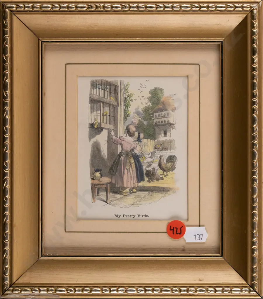 framed vintage hand colured engraving "My Pretty Birds" H110 W80 Image 1++
