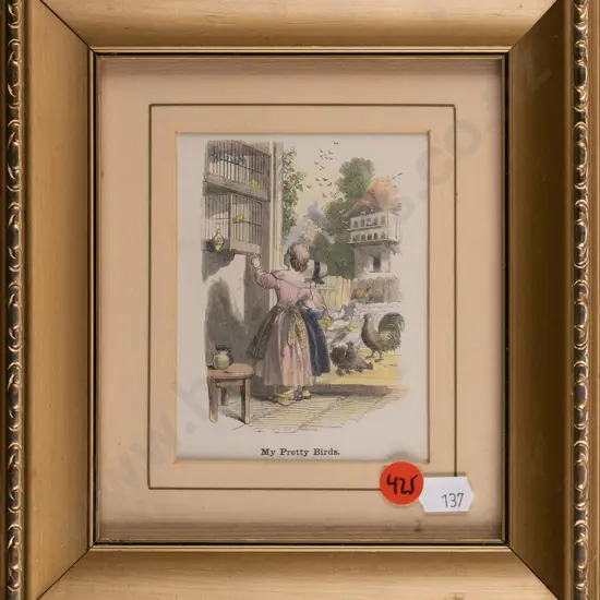 framed vintage hand colured engraving "My Pretty Birds" H110 W80