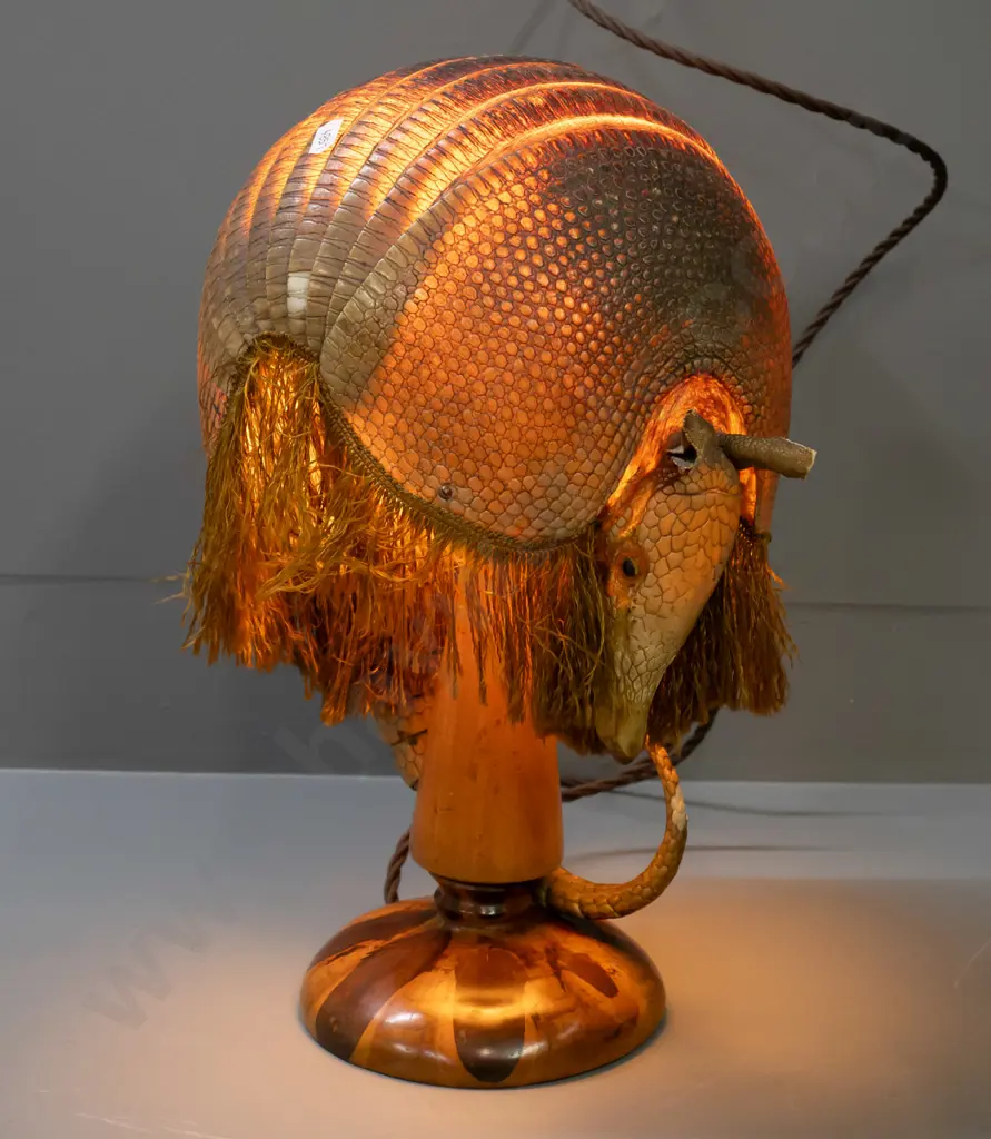 pair of unusual armadillo table lamps with applied frill edging, mounted to figured timber base, with label from Image 1++