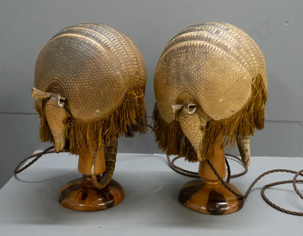 pair of unusual armadillo table lamps with applied frill edging, mounted to figured timber base, with label from Image 1++