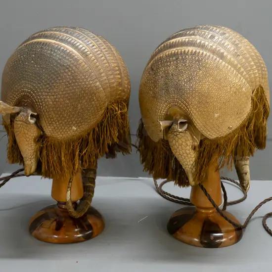 pair of unusual armadillo table lamps with applied frill edging, mounted to figured timber base, with label from