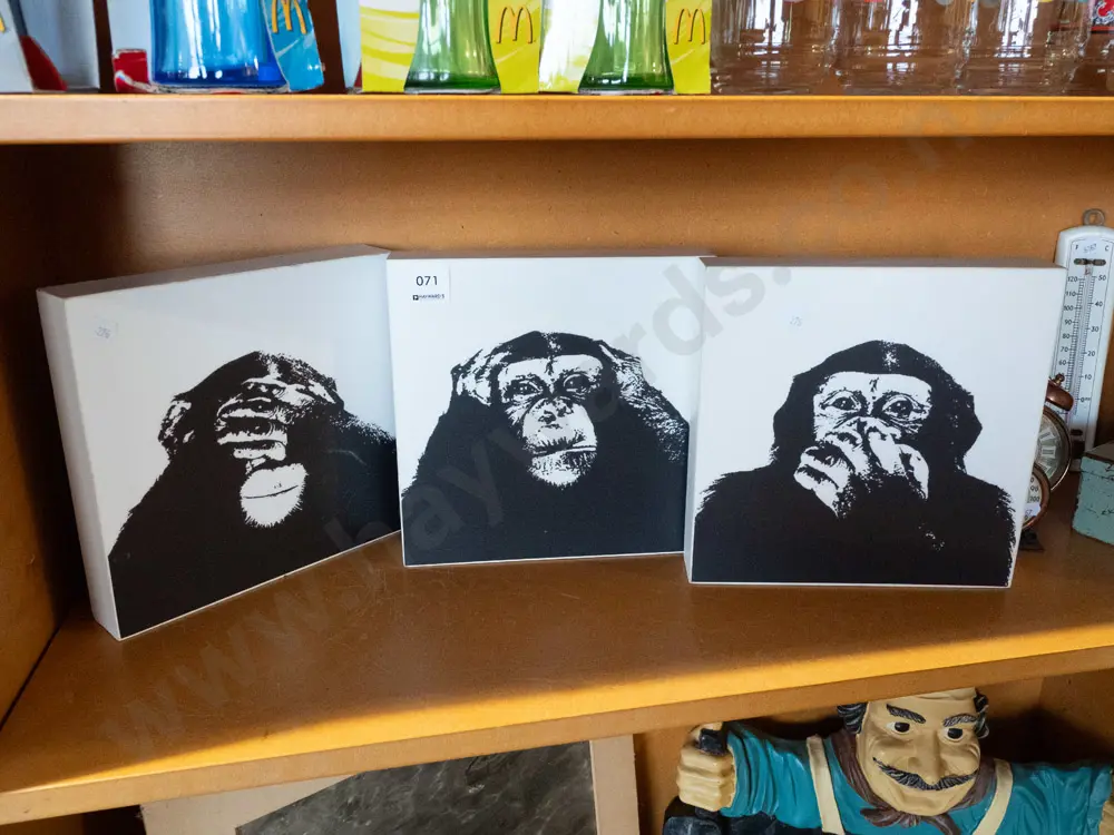 3x chimpanzee prints on boxed canvas Image 1++