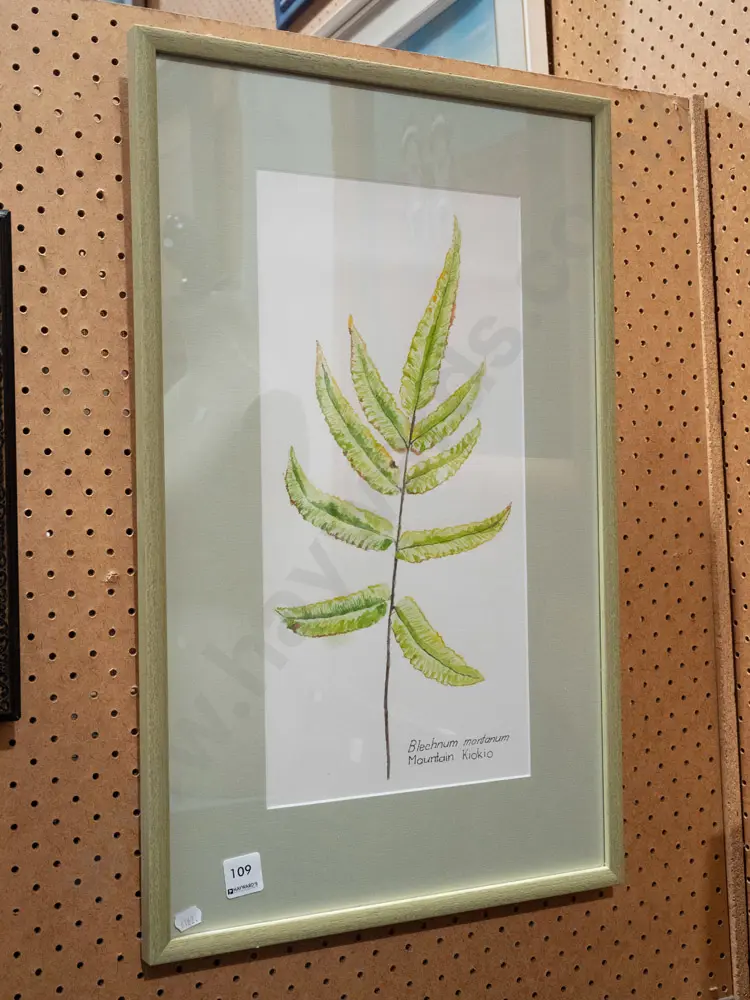 framed pencil and watercolour - mountain Kiokio Image 1++