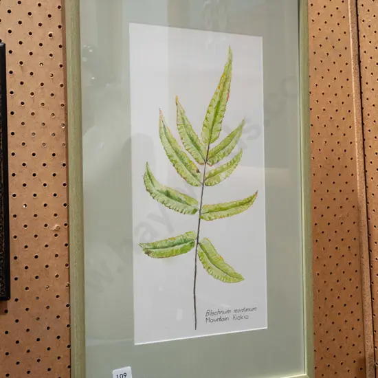 framed pencil and watercolour - mountain Kiokio